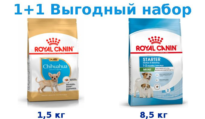 Сухой корм Щенки, Royal Canin Breed dog Chihuahua Junior 1,5 кг + Щенки, Royal Canin Mini Starter 8,5 #1