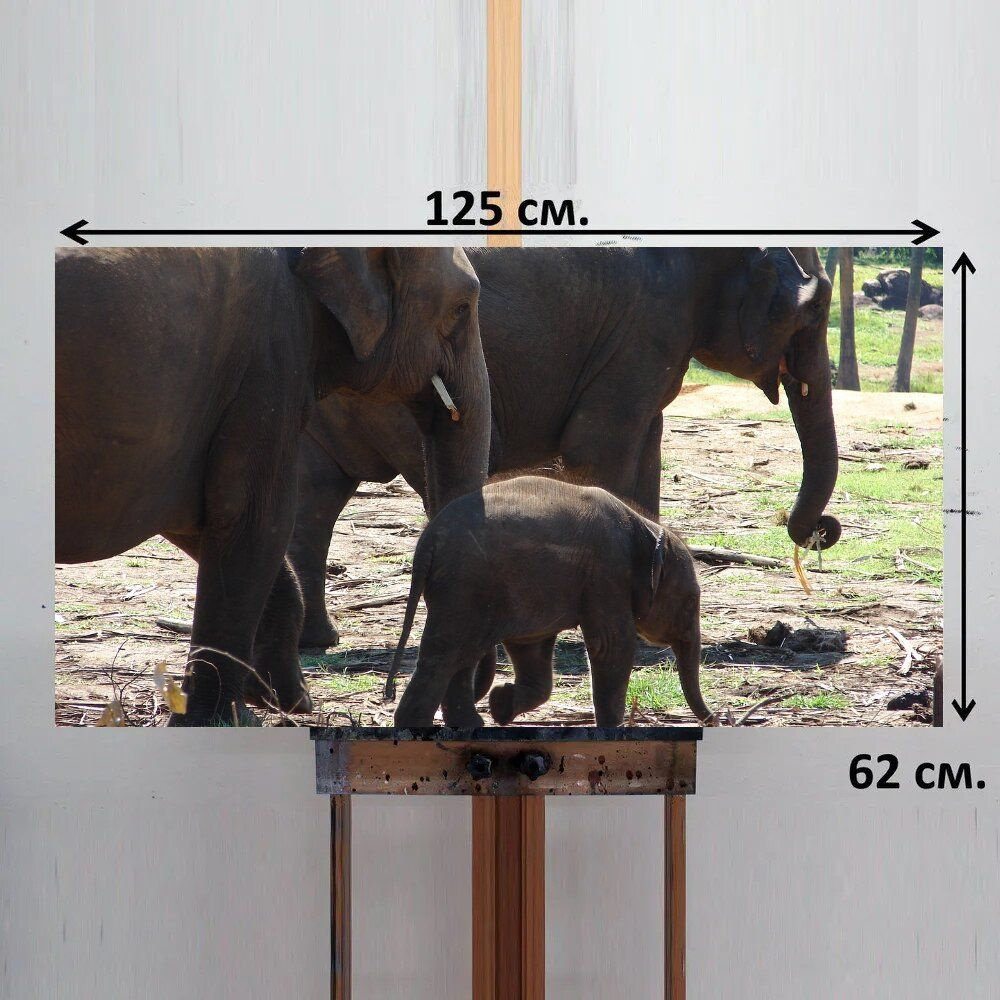LotsPrints Картина "Слон, слоненок, дикий 51", 125  х 62 см #1