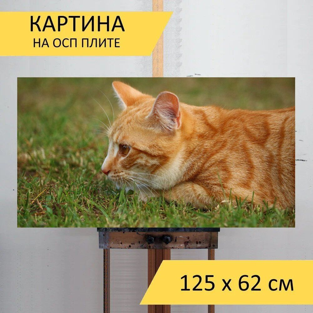 LotsPrints Картина "Кот, котенок, скумбрия 82", 125  х 62 см #1