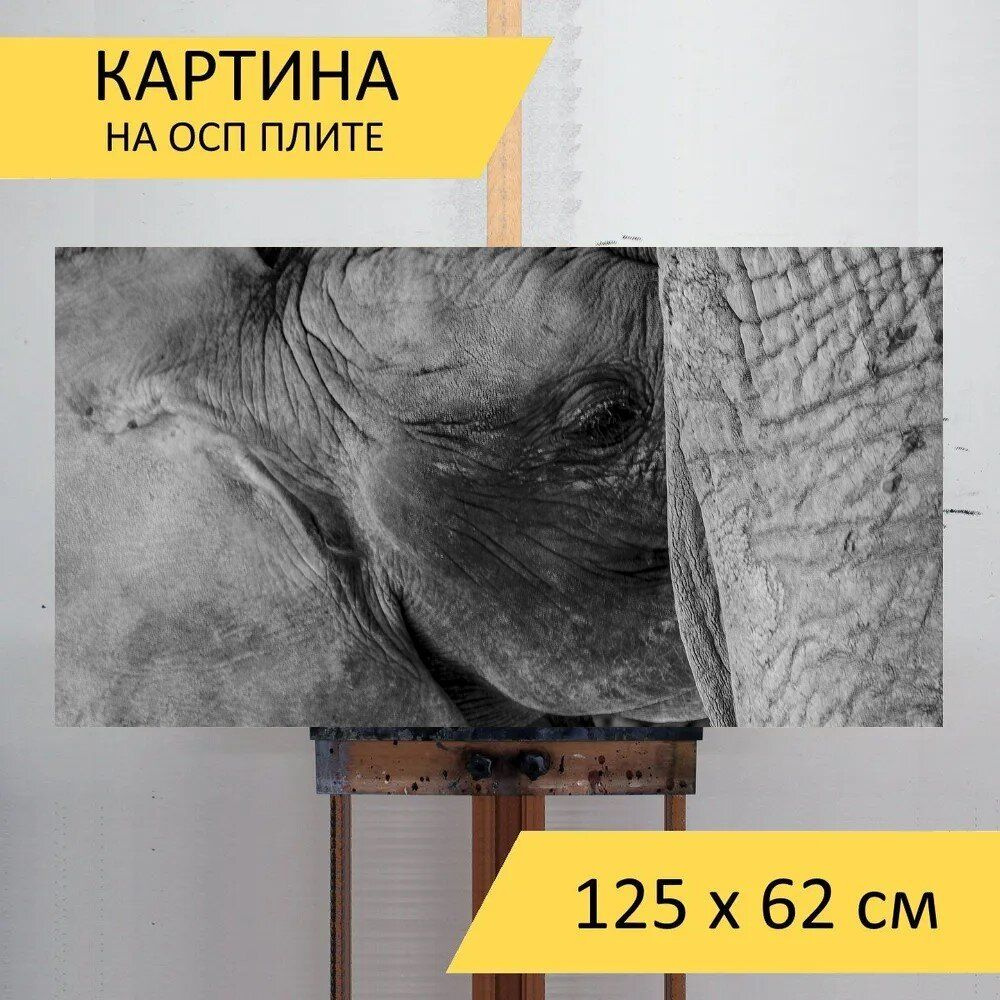LotsPrints Картина "Слон, слон ребенок и мать, зоопарк 19", 125 х 62 см  #1