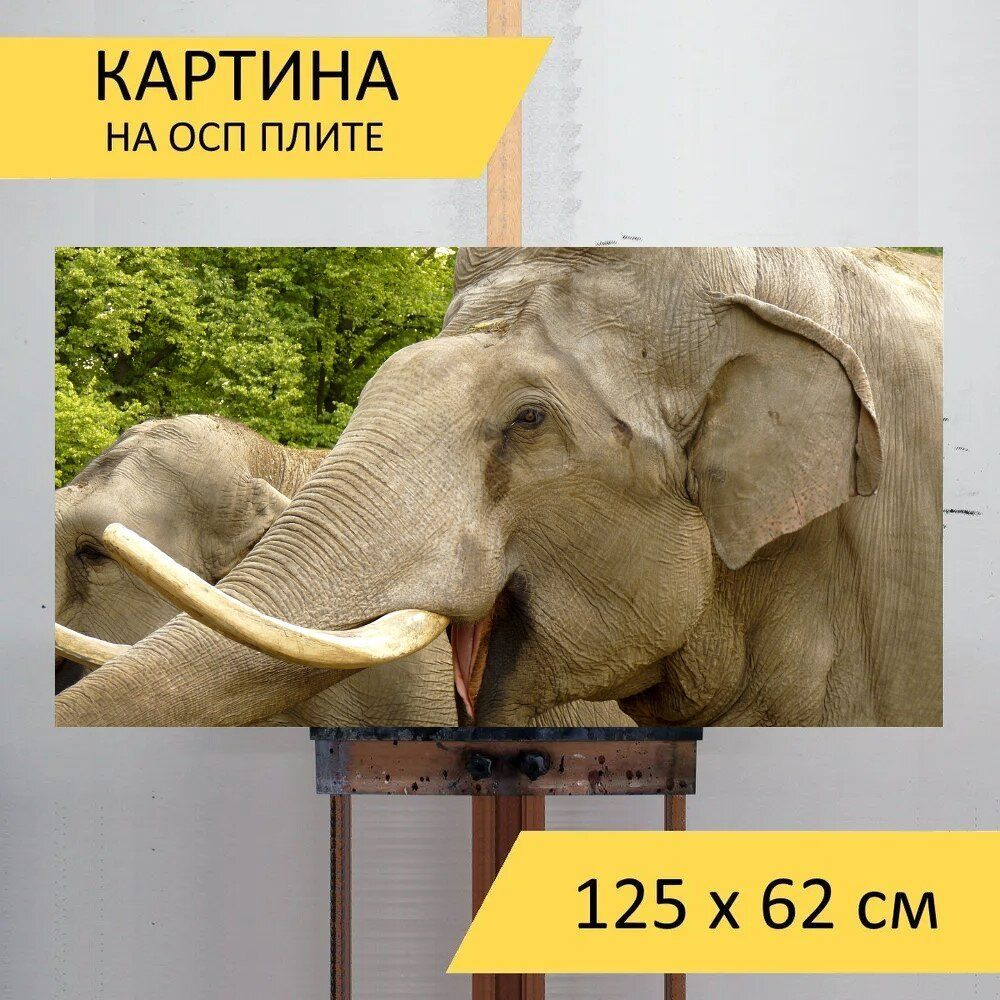 LotsPrints Картина "Слон, животное, зоопарк 41", 125  х 62 см #1