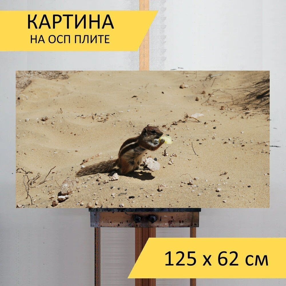 LotsPrints Картина "Песок, белка, животное 58", 125  х 62 см #1