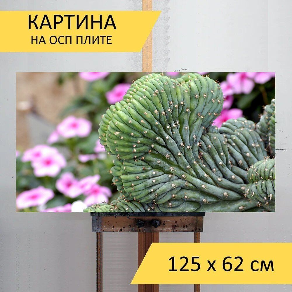 LotsPrints Картина "Кактус, цветок, завод 07", 125  х 62 см #1