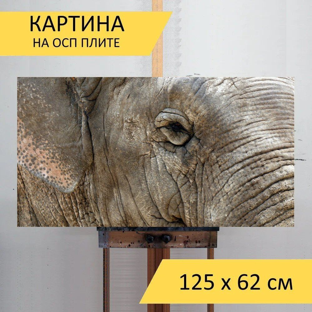 LotsPrints Картина "Слон, животные, кожа 71", 125  х 62 см #1