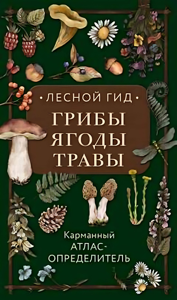 Лесной гид: грибы, ягоды, травы. Карманный атлас-определитель  #1