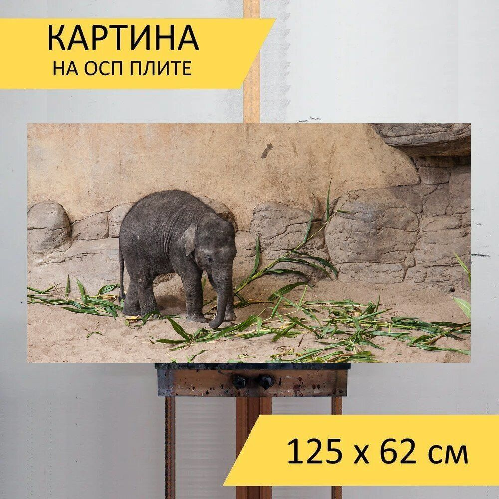 LotsPrints Картина "Слоненок, животное, толстокожий 59", 125 х 62 см  #1