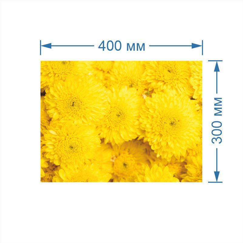 Постер для интерьера Желтые Цветы Хризантемы 40 х 30 см