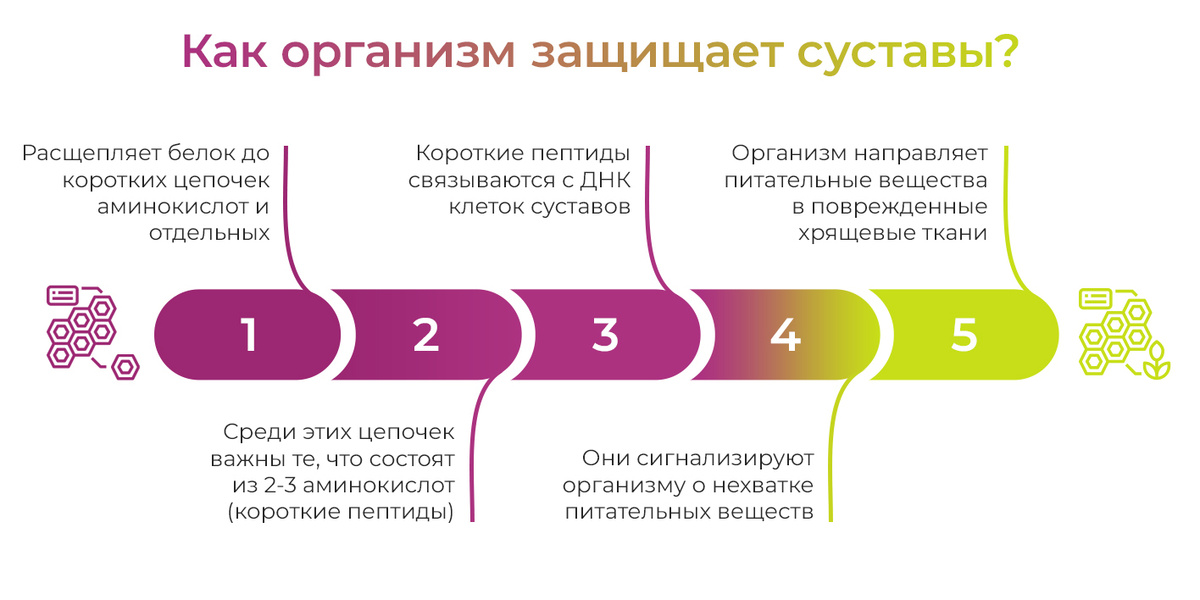 Текстовое описание изображения