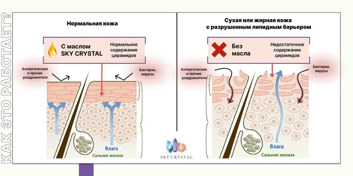 Текстовое описание изображения