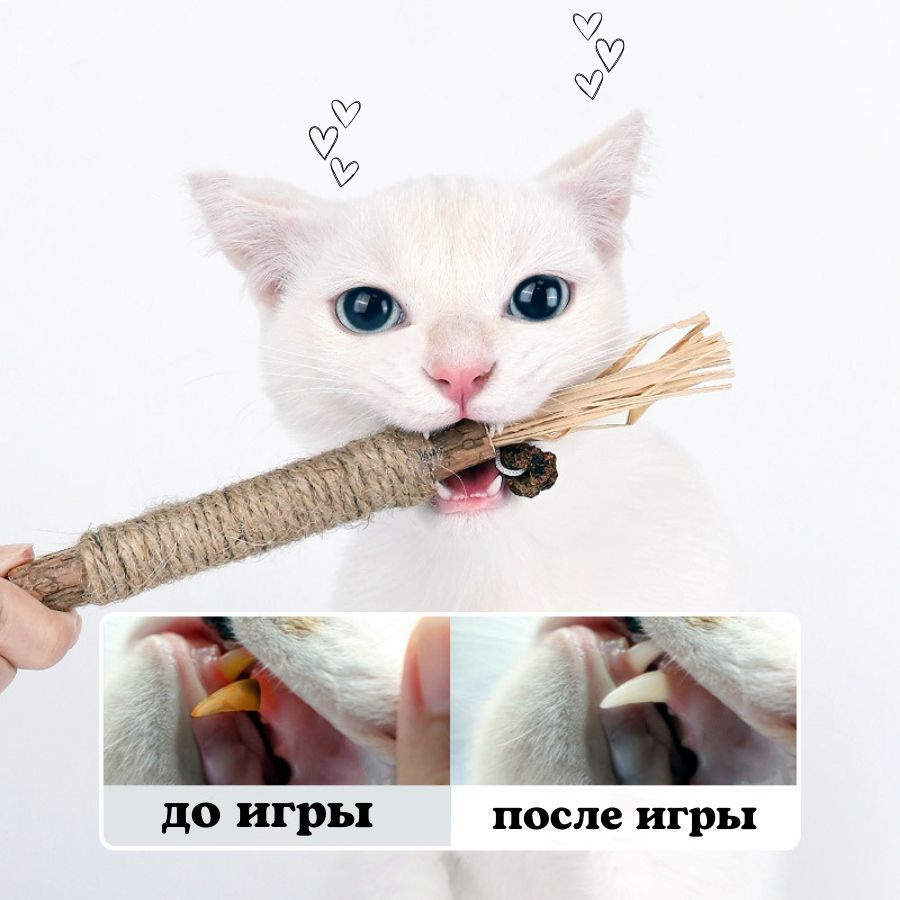 Игрушка доя кошек которая может быть полезна для вашего кота.