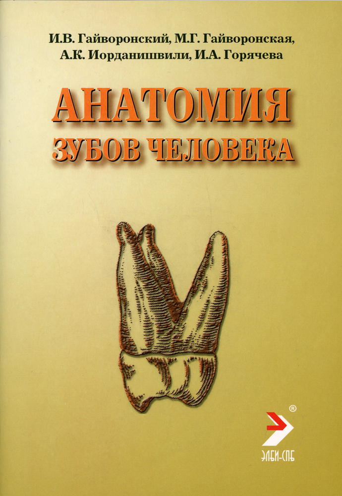 Анатомия зубов человека: Учебное пособие. 4-е изд., испр. и доп | Гайворонский Иван Васильевич, Гайворонская #1