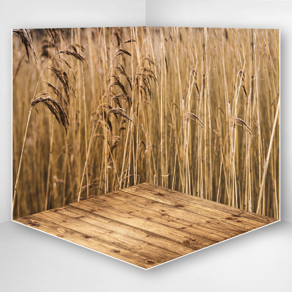 Фотофон 3D, 70x70x70 см, из фотопластика для предметной съемки, "Пшеница", серия "Художественные"  #1