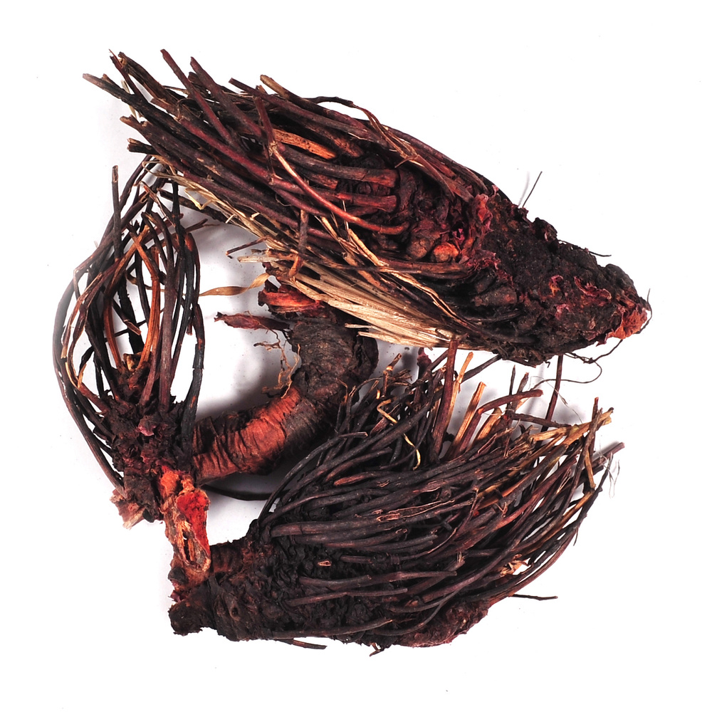 Красная щетка корень (50 гр) - Родные Травы #1