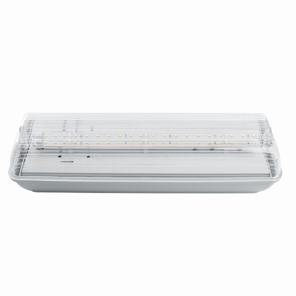 Светильник аварийный "Выход" IP65 20 LED AC/DC белый EM101 #1