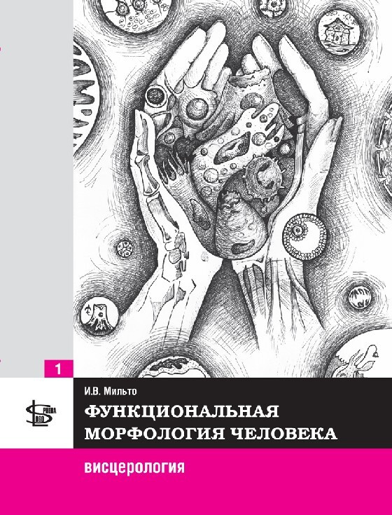 Функциональная морфология человека: висцерология. Т.1. #1