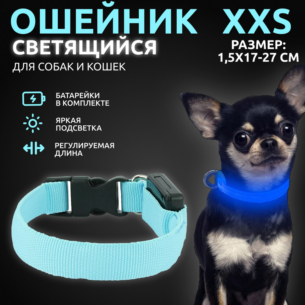 Ошейник светящийся для собак и кошек светодиодный нейлоновый голубого цвета, размер XXS - 1,5х17-27 см #1