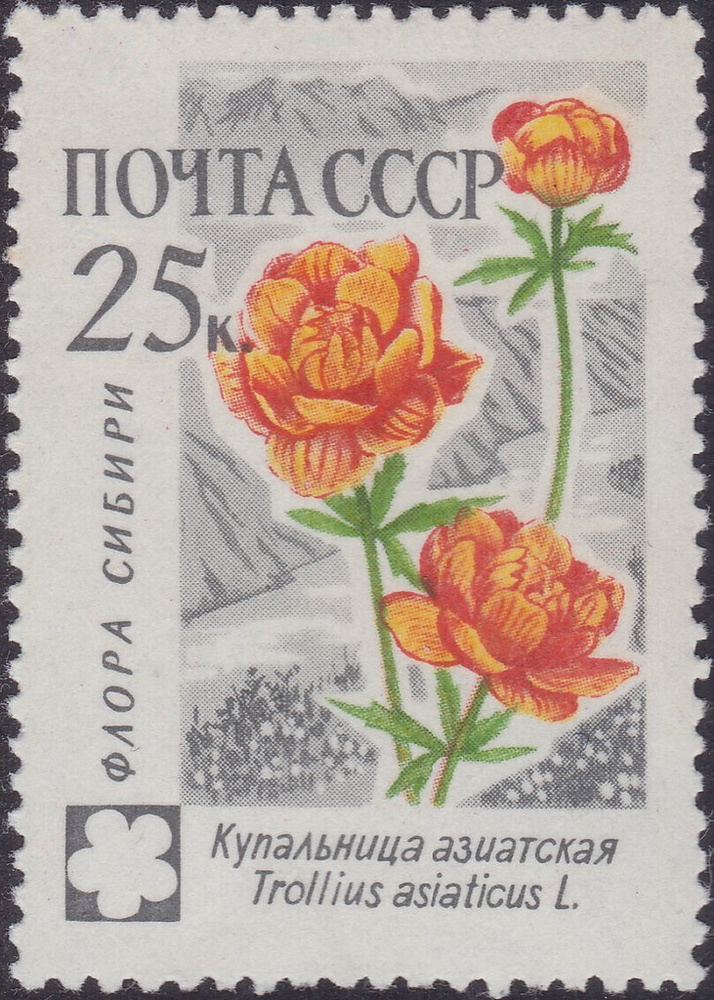 (1960-106) Марка СССР "Купальница азиатская" Флора СССР II гашеная  #1