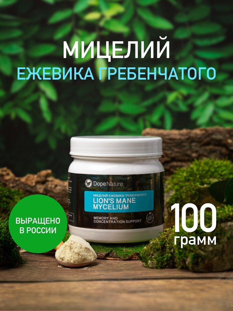 Ежевик (ежовик) гребенчатый - мицелий, 100 г #1