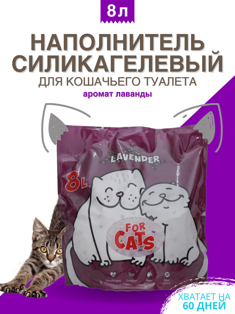 For Cats Наполнитель Силикагелевый Впитывающий Лаванда 3100г.  #1