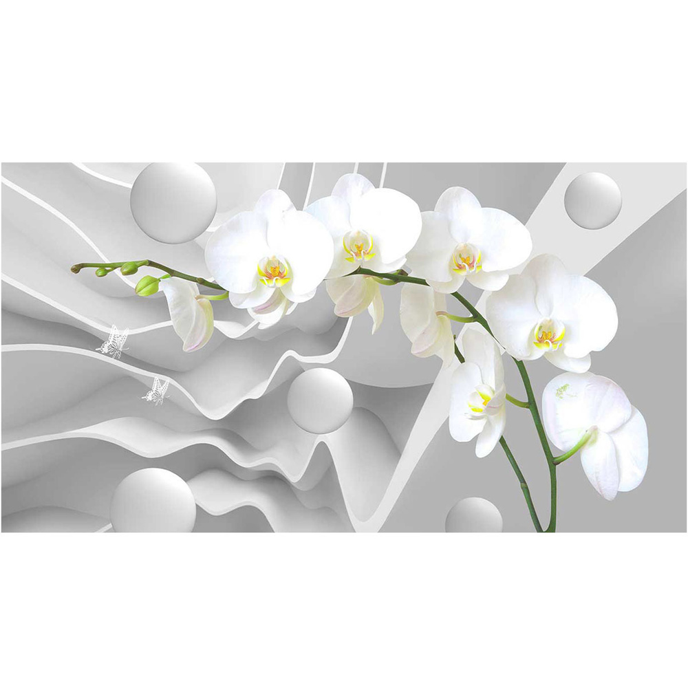 Фотообои Орхидея 500x270 см #1