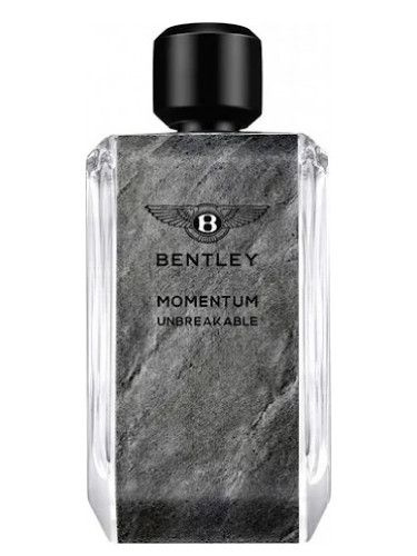 Bentley Вода парфюмерная Momentum Unbreakable 100 мл #1