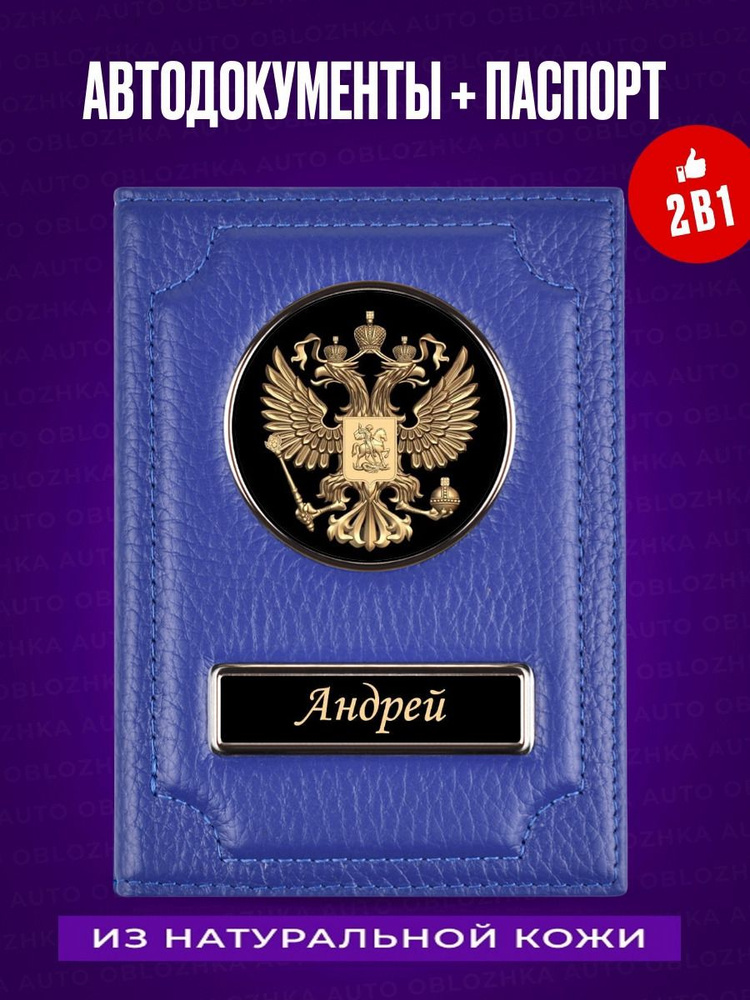 Обложка для aвтодокументов и паспорта Андрей #1