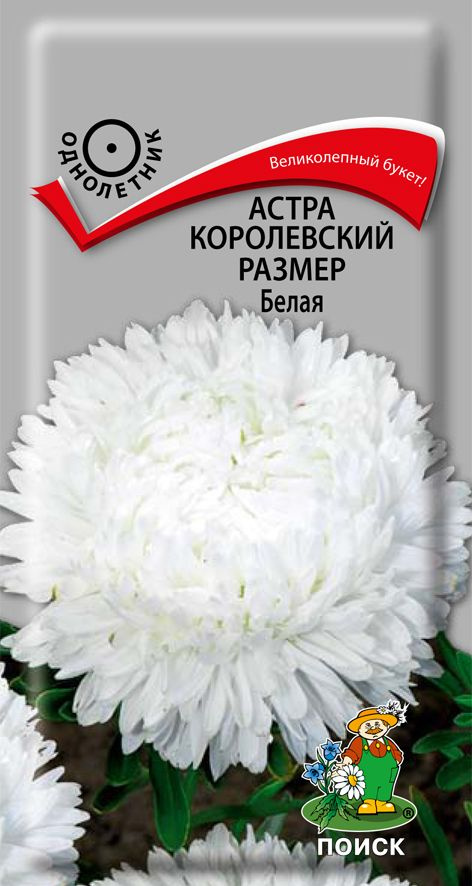 АСТРА пионовидная "Королевский размер" Набор №8 (5 пак) Абрикосовая, Белая, Красная, Розовая, Синяя. #1