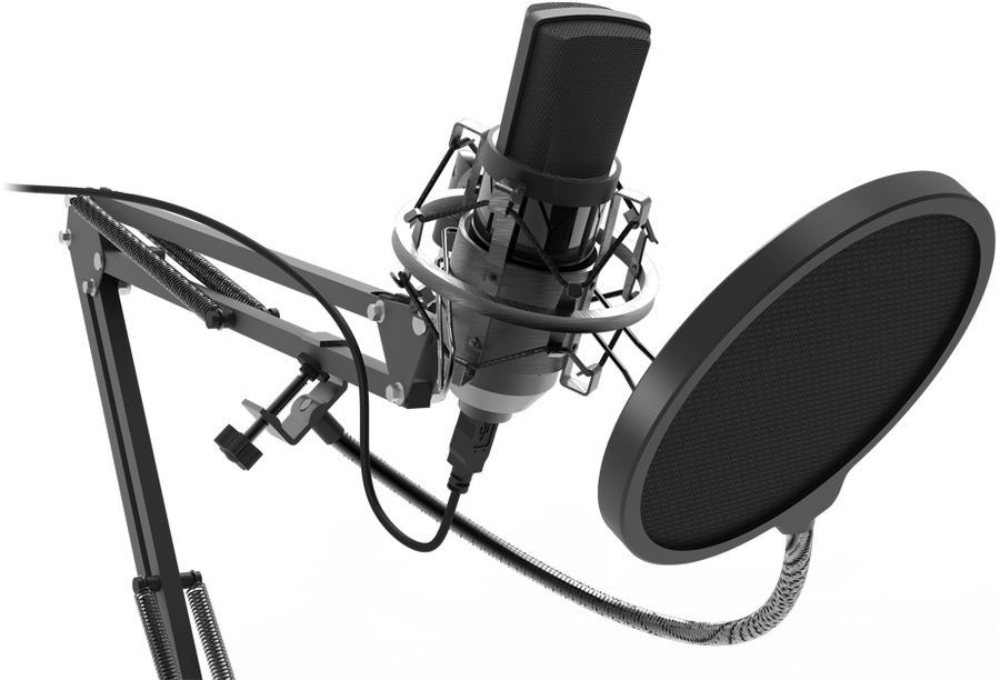 Студийный микрофон Ritmix RDM-169 черный #1