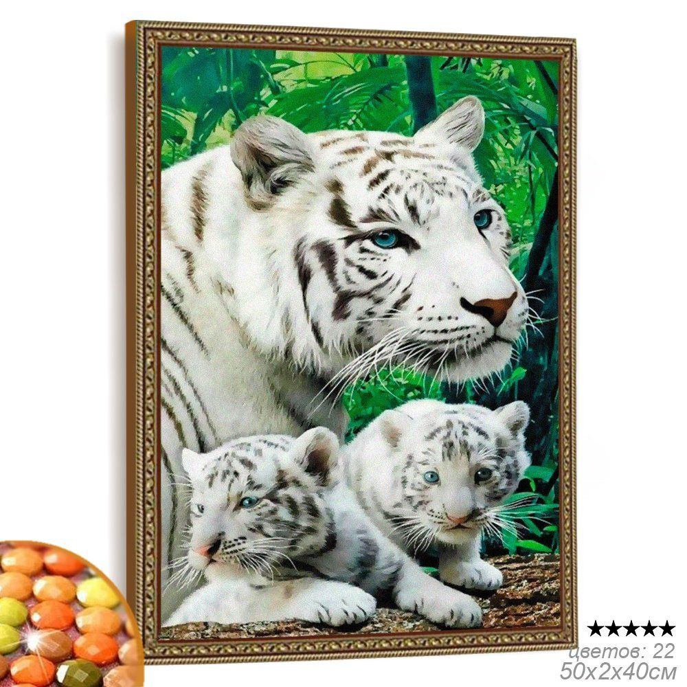 Алмазная мозаика на подрамнике 40x50 Белые тигры #1