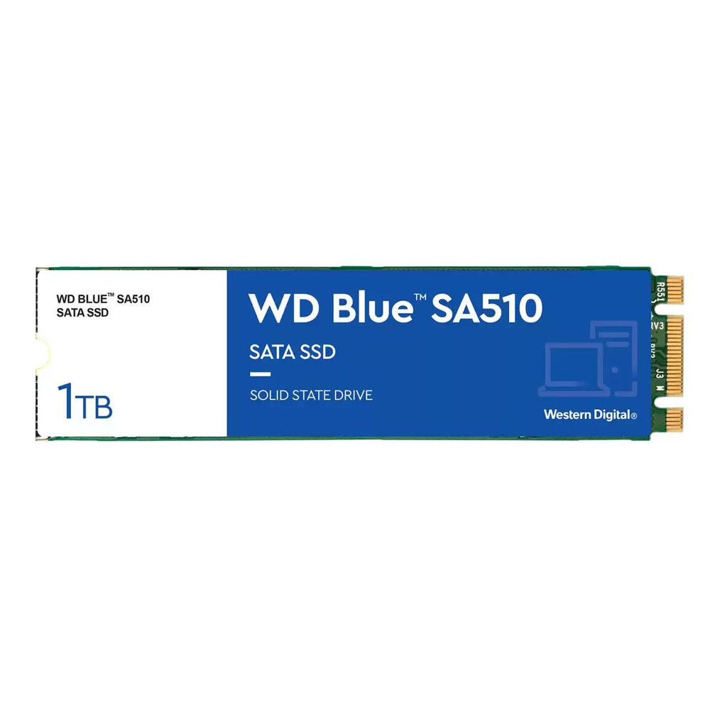 Western Digital 1 ТБ Внутренний SSD-диск Blue SA510 M.2 SATA3 6.0 Гбит/с (WDS100T3B0B)  #1