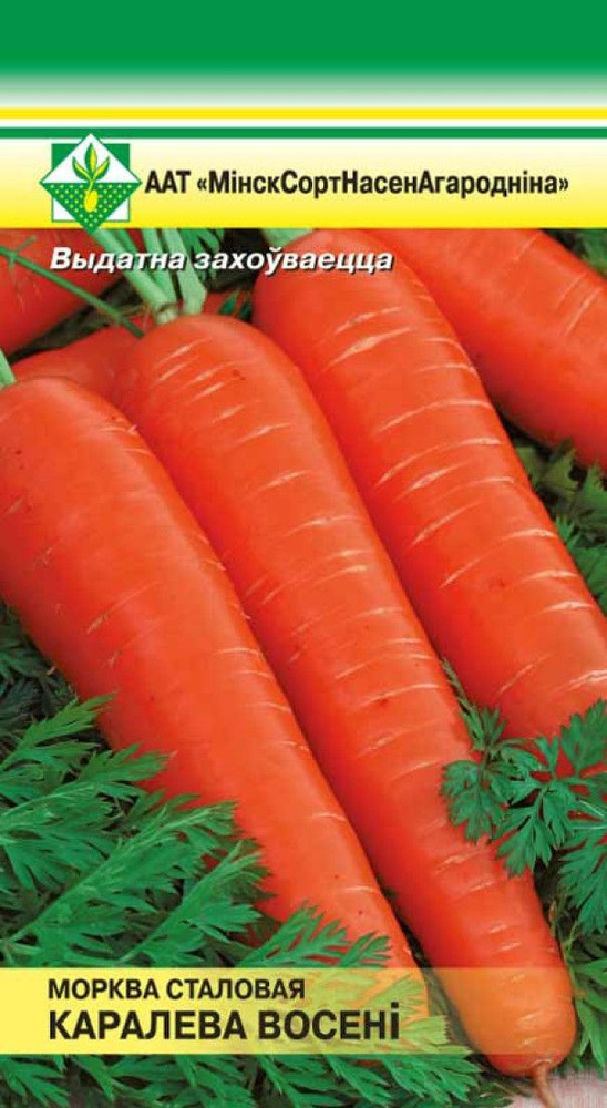 Семена Морковь Королева осени столовая 1.5г #1