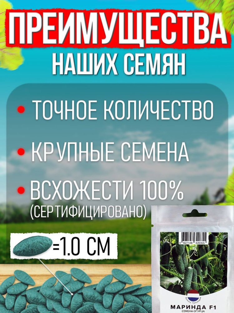 Маринда F1 семена огурца раннего, 10 шт. (Seminis / ALEXAGRO). Высокоурожайный, партенокарпический гибрид #1