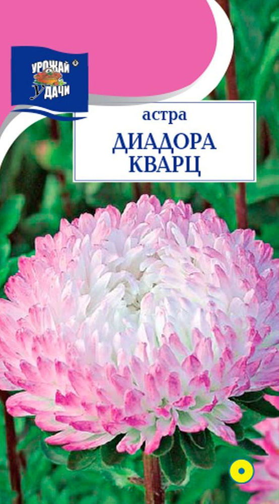 Семена Астра пионовидная ДИАДОРА КВАРЦ (Семена УРОЖАЙ УДАЧИ, 0,2г в упаковке)  #1