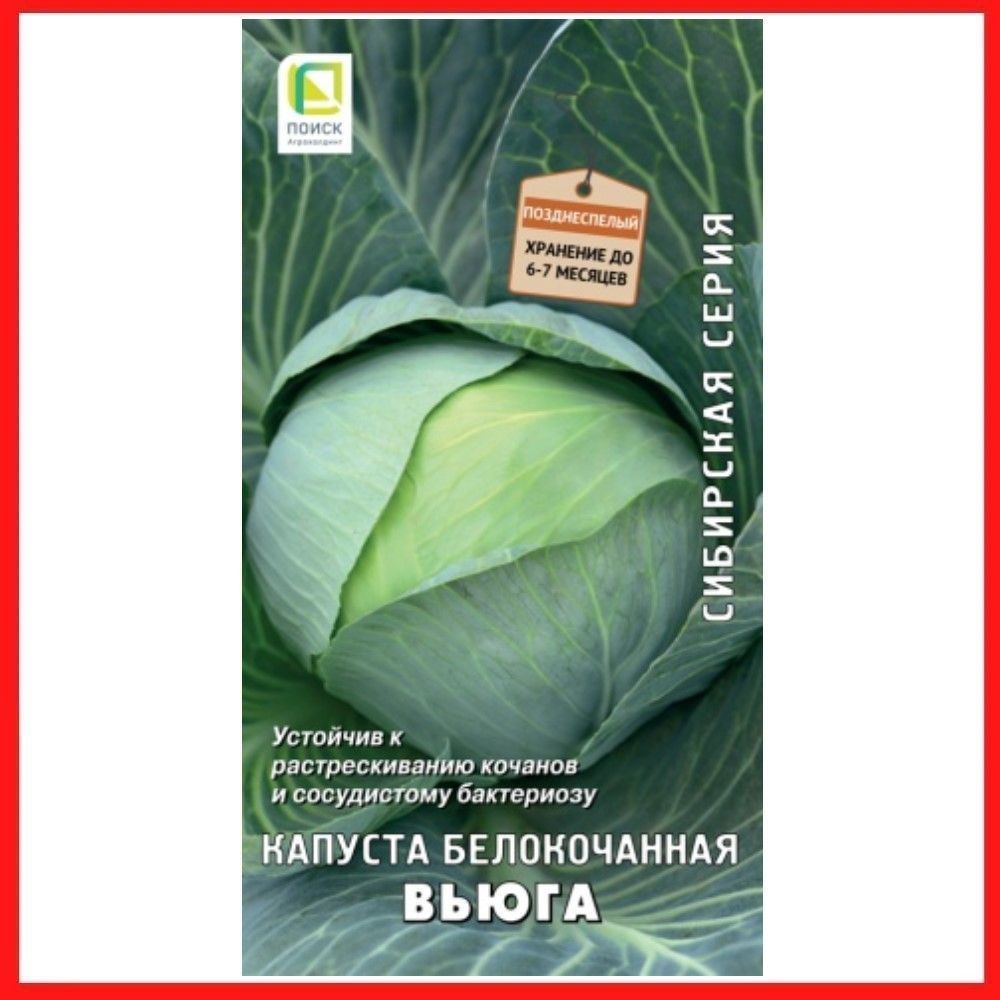 Семена Капуста белокочанная "Вьюга", 0,5 гр, для дома, дачи и огорода, в открытый грунт, овощи из семян, #1