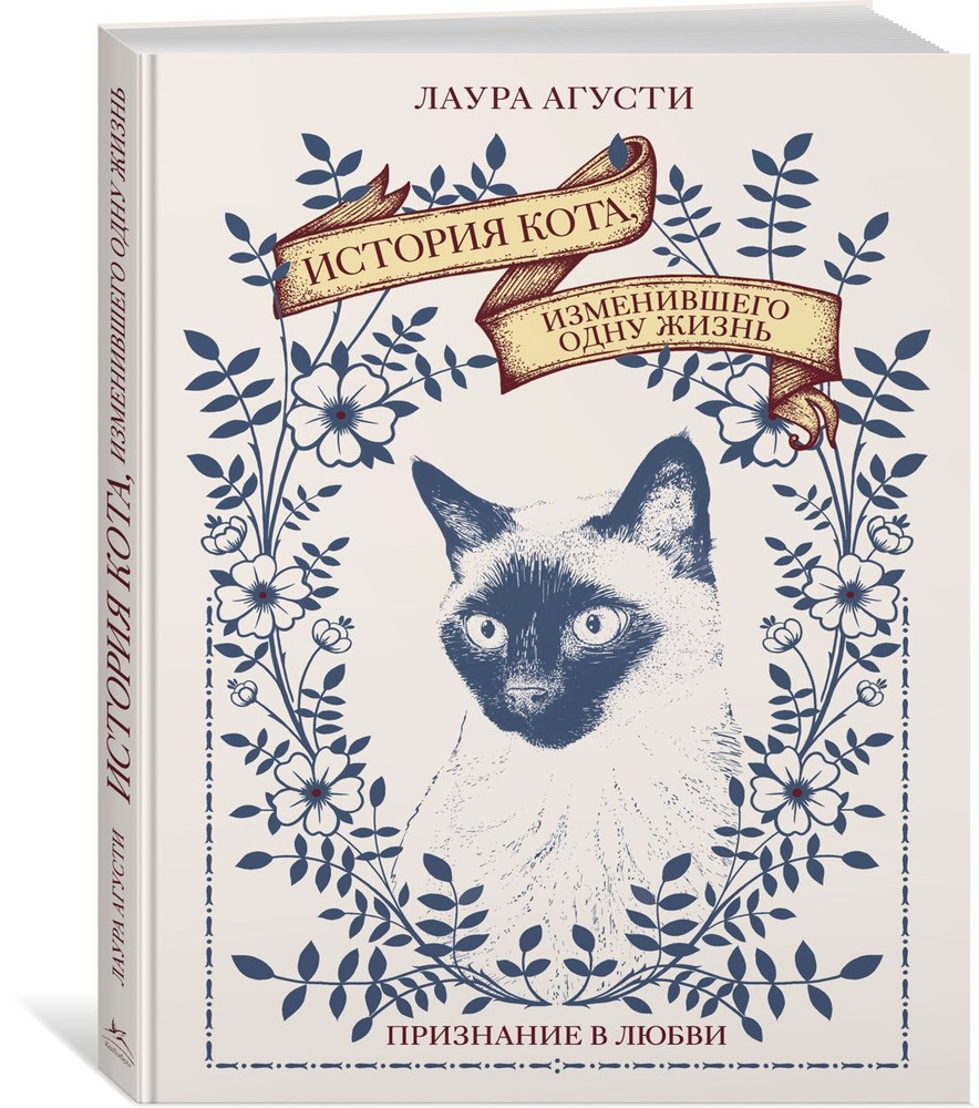 Курс история и котики