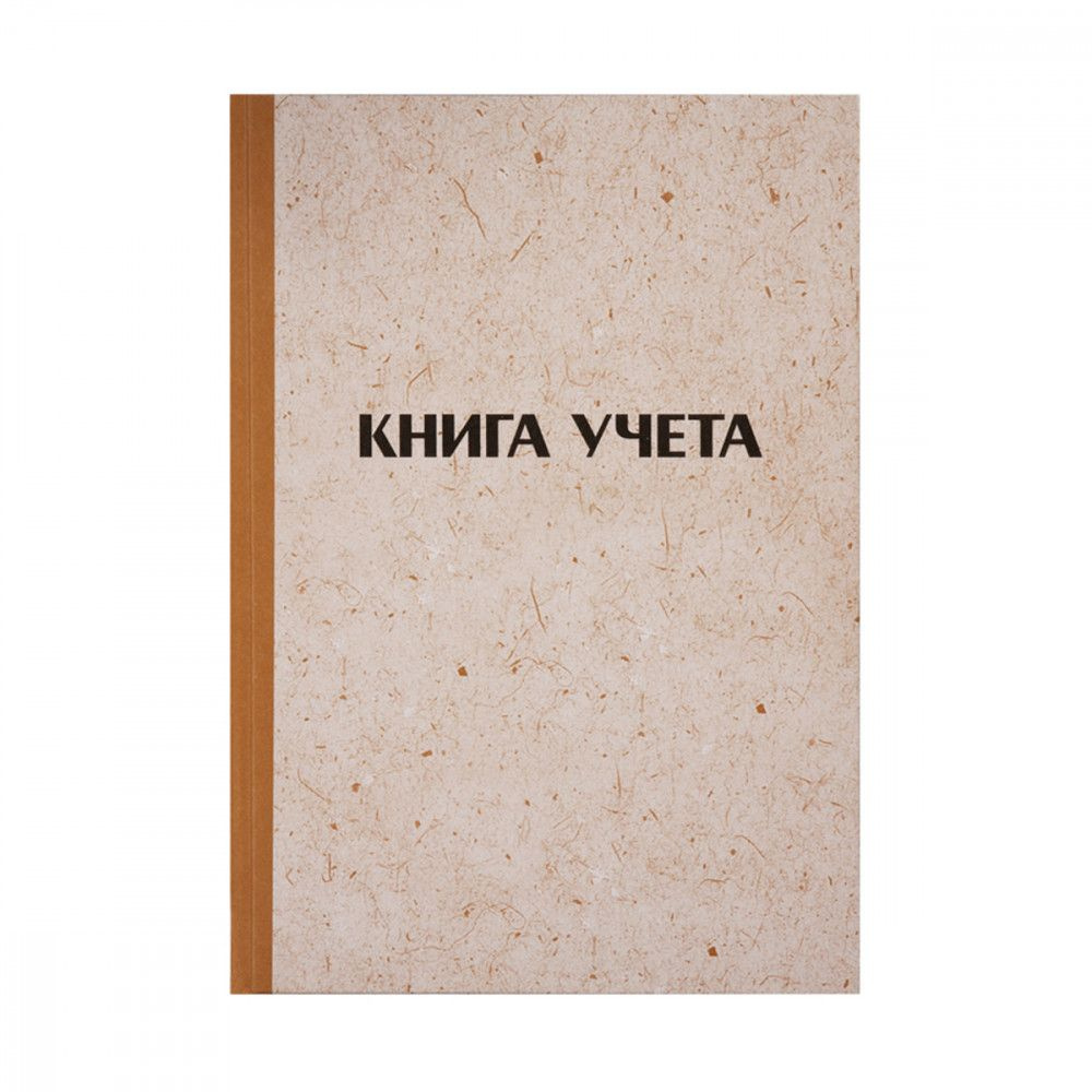 ACE Книга учета #1