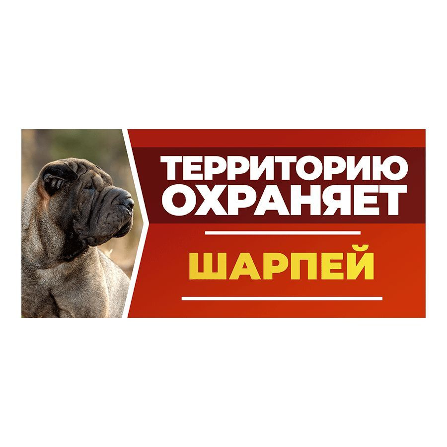 Табличка, DANGER DOG, Шарпей, на забор, 30см х 14см #1