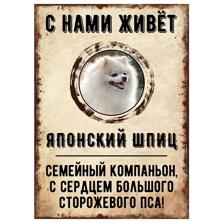 Табличка, декоративная, DANGER DOG, С нами живет Японский шпиц, 18см х 25см  #1