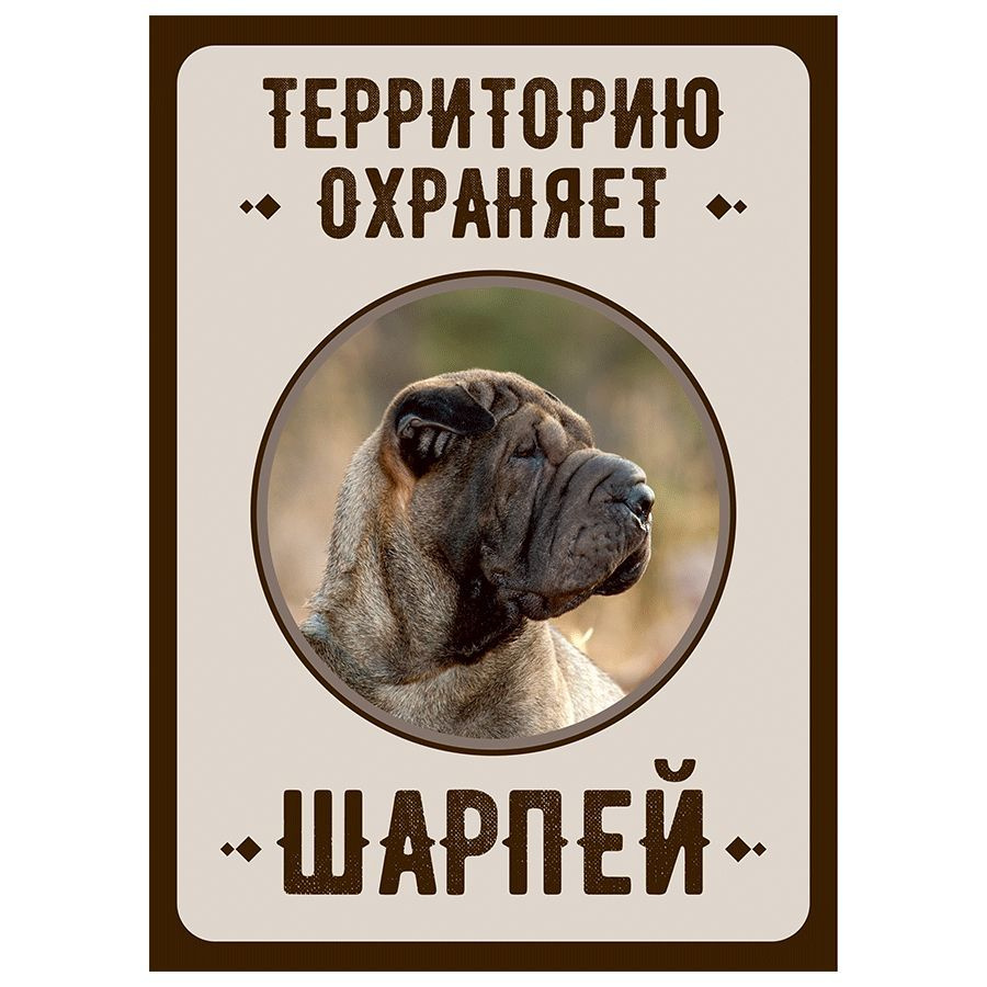 Табличка, Злая собака, Территорию охраняет Шарпей, на металлической основе, 18см х 25 см, на забор, на #1