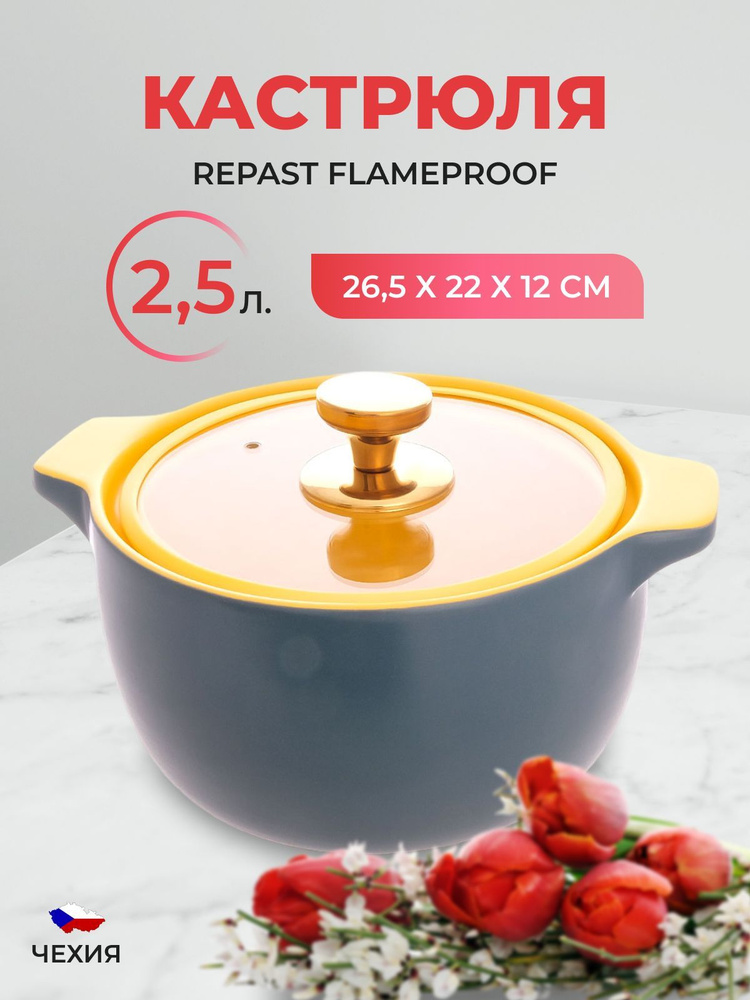Кастрюля Repast Flameproof 2,5 л 26,5*22*12 см #1