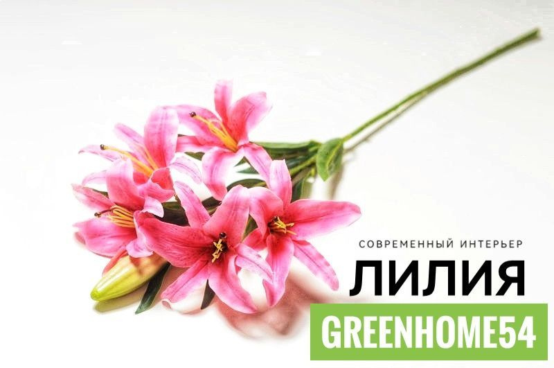 GreenHome54 Искусственные цветы,1шт #1