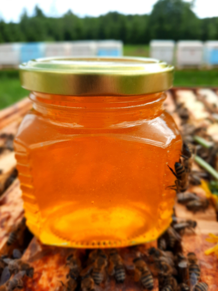 Мёд тёмный, деревенский прямо из улья жидкий 250 мл. / мед деревенский 2023 года / мед луговое разнотравье #1
