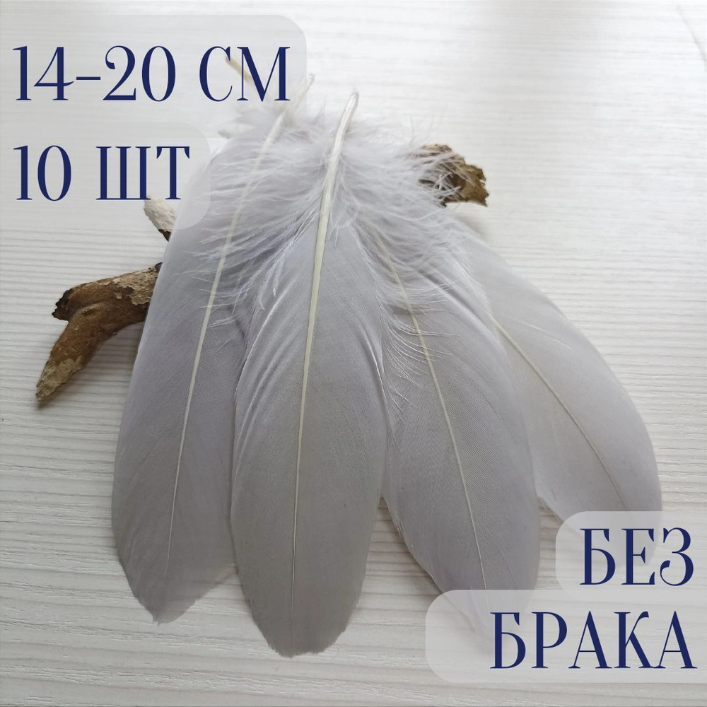 Гусиные перья для творчества и рукоделия. Серые. 10 шт. 14-20 см ...