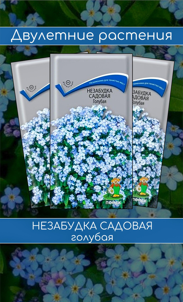 Набор семян цветов двулетников. Незабудка садовая голубая. 3 упаковки. Агрофирма Поиск  #1