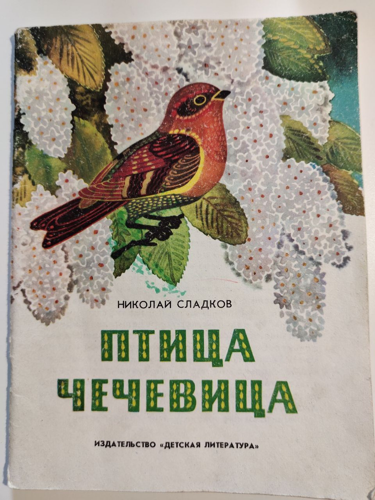 Птица чечевица | Сладков Николай #1