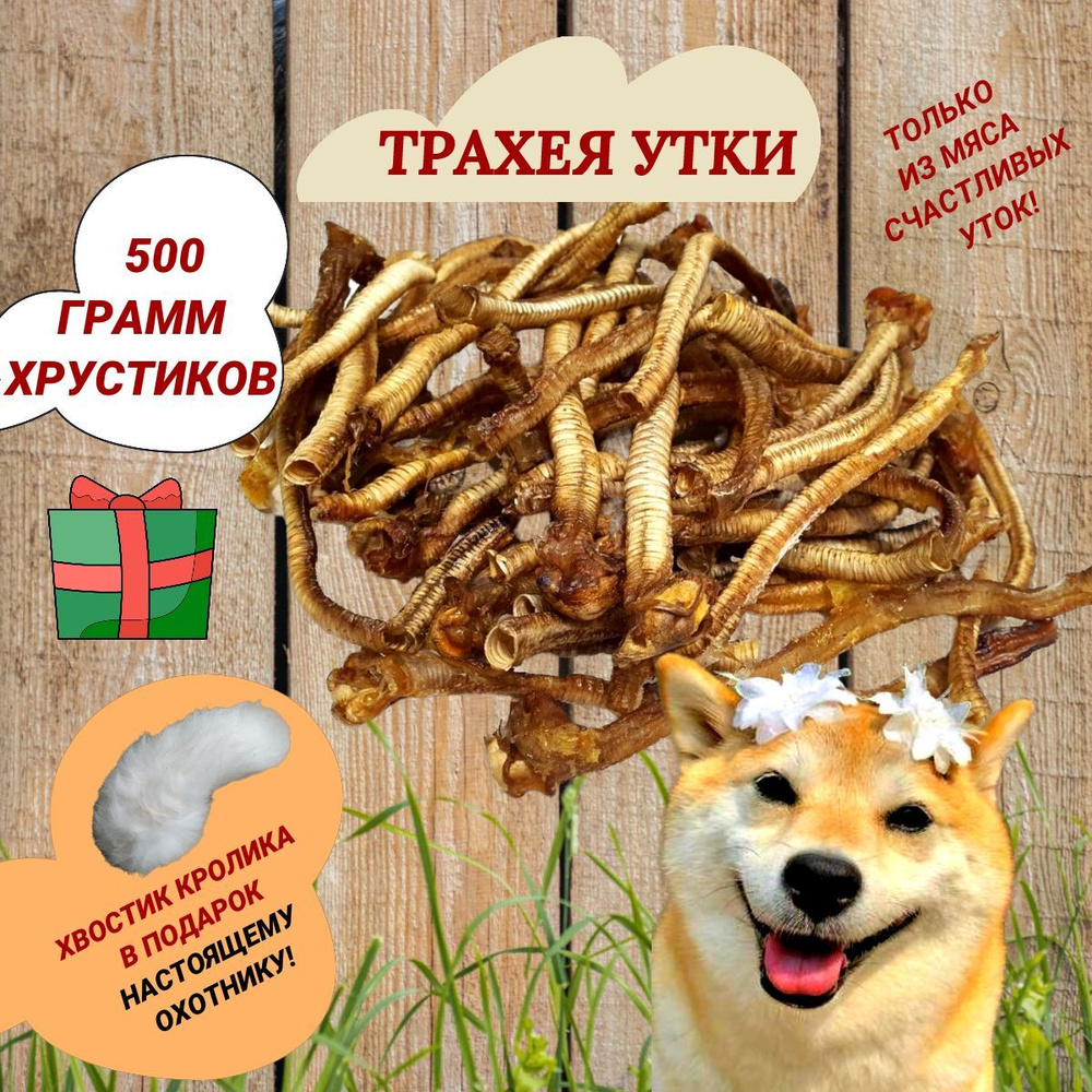 ТРАХЕЯ УТИНАЯ. 500 грамм! В ПОДАРОК игрушка - ХВОСТИК кролика, вкусняшка, утка , лакомство для собак #1