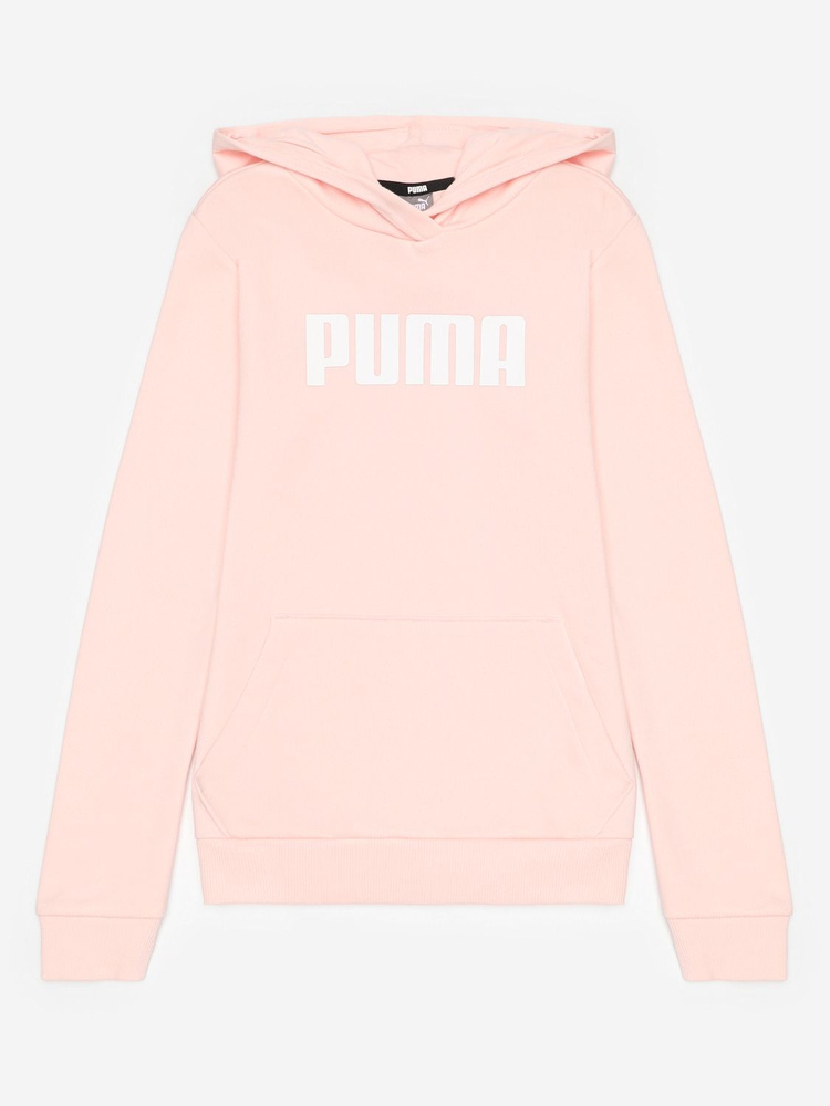 Толстовка PUMA Girls Ess Hoodie Tr #1