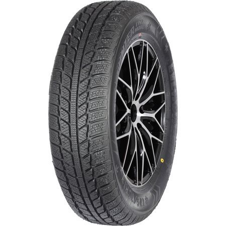 Evergreen EW62 Шины  зимние 185/65  R14 86T #1