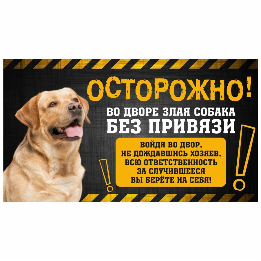 Табличка, с юмором, прикол, DANGER DOG, Осторожно! Во дворе собака без привязи, Лабрадор, 25x14 см  #1
