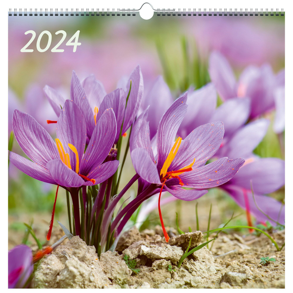 Календарь 2024 квадратный LISTOFF Цветы 320х320, 6л. #1